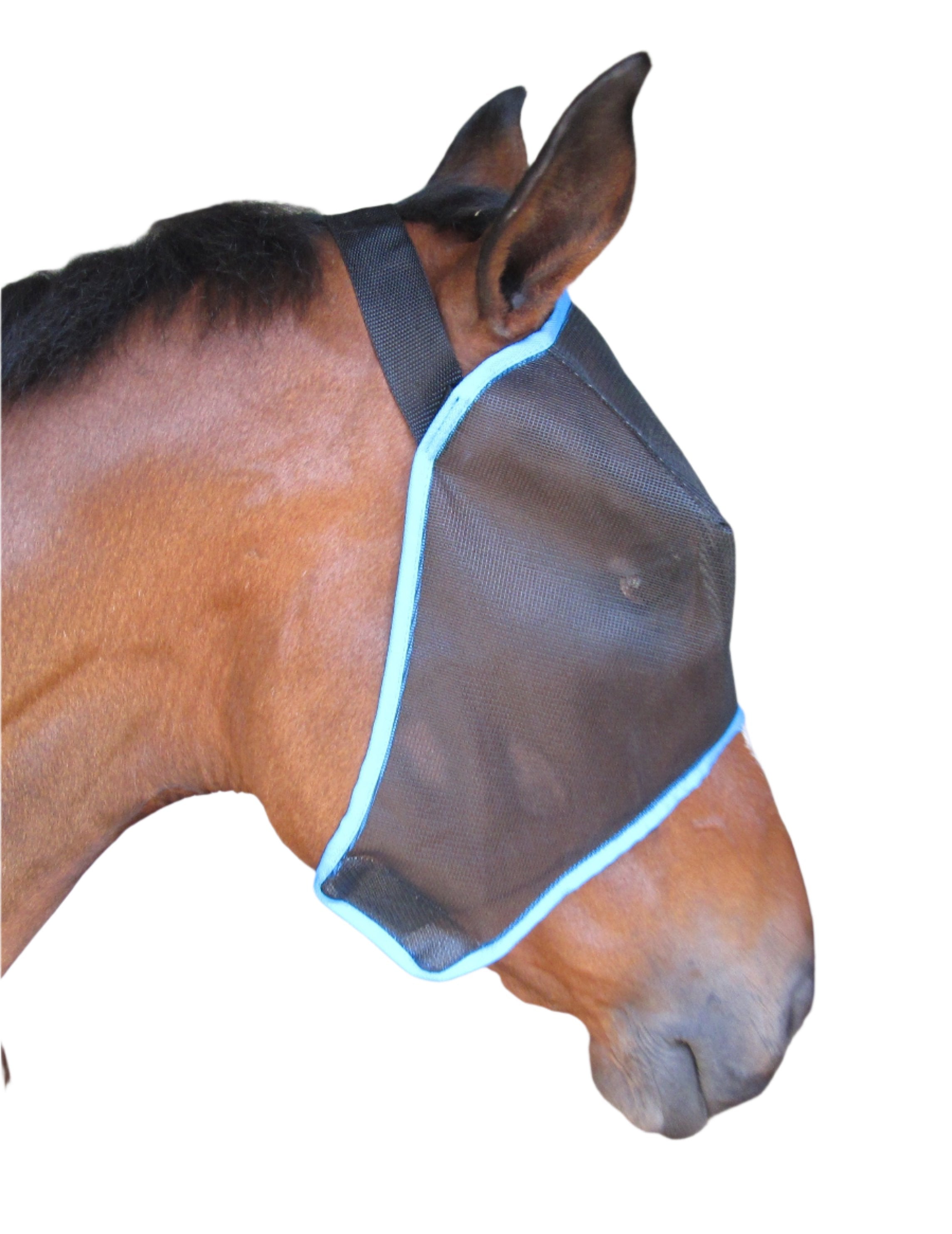 Fly Mask Solo
